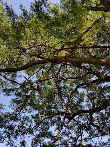 Banquet Hall «White Pines Country Club», reviews and photos, 500 W Jefferson St, Bensenville, IL 60106, USA