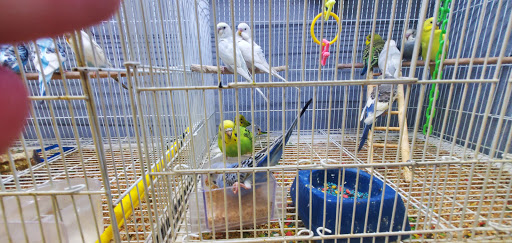 Pet Store «Animal Ark Pet Stores», reviews and photos, 33 Center St, Orem, UT 84057, USA