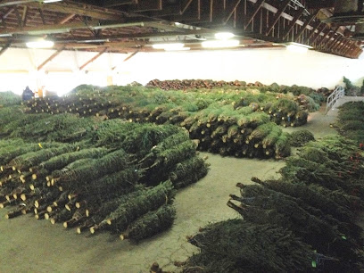Great Lakes Christmas Tree Farms