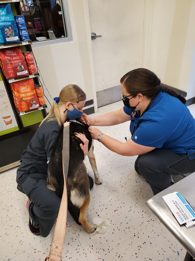 Pet Supply Store «Petco Animal Supplies», reviews and photos, 5190 Borgen Blvd #201, Gig Harbor, WA 98332, USA