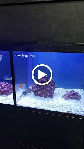 Tropical Fish Store «Marine Solutions», reviews and photos, 20 Triad S Dr, St Charles, MO 63304, USA