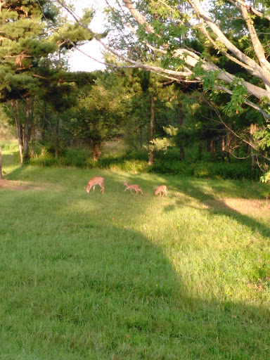 Park «Robert Moses State Park», reviews and photos, 32 Beach Marina Rd, Massena, NY 13662, USA