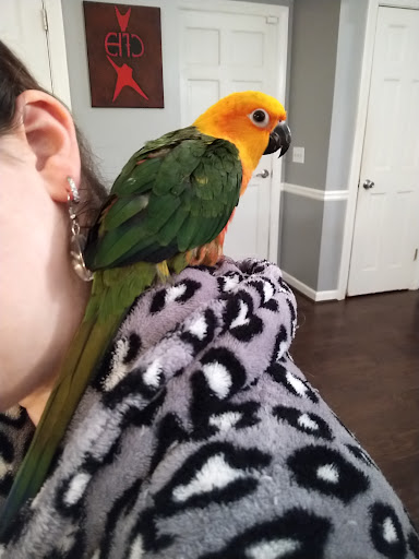 Pet Store «Animal Atlanta», reviews and photos, 6449 Bells Ferry Rd, Woodstock, GA 30189, USA