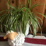 Photo n°5 de l'avis de Ms..h fait le 01/09/2022 à 16:20 sur le  Hotel Post à Graun im Vinschgau