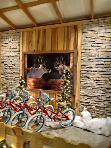 Tourist Attraction «Chads Winter Wonderland», reviews and photos, 791 Old Laguardo Rd E, Lebanon, TN 37087, USA