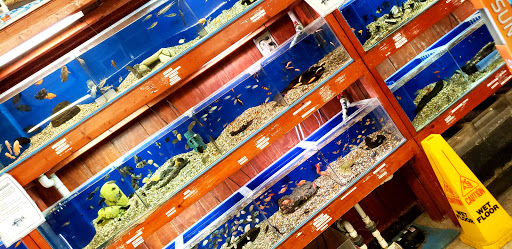 Pet Supply Store «Pet Bazaar», reviews and photos, 490 FL-436, Casselberry, FL 32707, USA