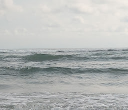 El Revolcadero photo