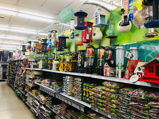 Hardware Store «Great Lakes Ace Hardware», reviews and photos, 44441 Ann Arbor Rd, Plymouth, MI 48170, USA