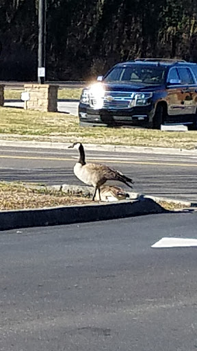 Auto Parts Store «Advance Auto Parts», reviews and photos, 709 Volunteer Pkwy, Bristol, TN 37620, USA