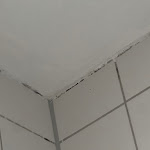 Photo n°2 de l'avis de Christina. fait le 28/08/2023 à 08:39 sur le  Hotel Dusseldorf Mitte à Düsseldorf