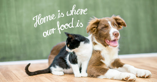 Fox4Pets GmbH & Co. KG unter Dietmannsried, 