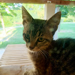 Photo n°27 de l'avis de Dario.e fait le 18/08/2023 à 08:23 sur le  Stone farmhouse in Moie à Moie