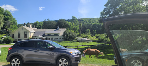 Vermont Horse Country Store