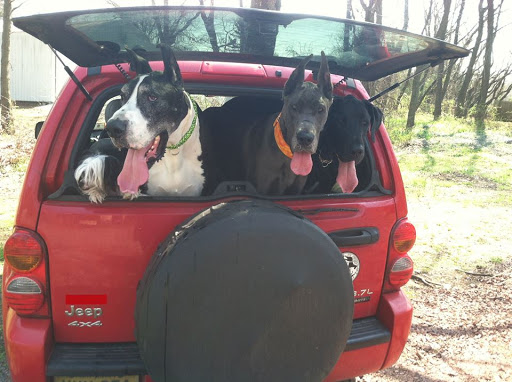 Car Dealer «Lucas Chrysler Jeep Dodge RAM», reviews and photos, 1624 NJ-38, Lumberton, NJ 08048, USA