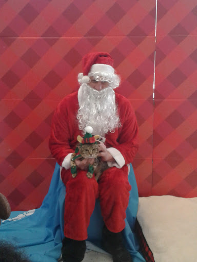 Pet Supply Store «Petco Animal Supplies», reviews and photos, 1591 Sloat Blvd, San Francisco, CA 94132, USA