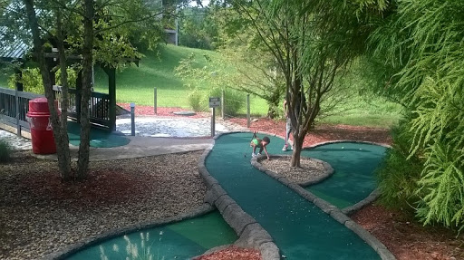 Resort «Apple Mountain Resort & Golf Club», reviews and photos, 901 Rock Ford Creek Rd, Clarkesville, GA 30523, USA