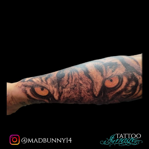 Tattoo Shop «Tattoo Image», reviews and photos, 1550 W 84th St #12, Hialeah, FL 33014, USA