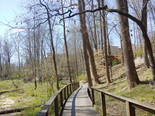 Nature Preserve «Fernbank Forest», reviews and photos, 767 Clifton Rd, Atlanta, GA 30307, USA