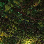 Photo n°8 de l'avis de Daniela.a fait le 25/08/2020 à 21:35 sur le  Ristorante Le Rasole à Garda