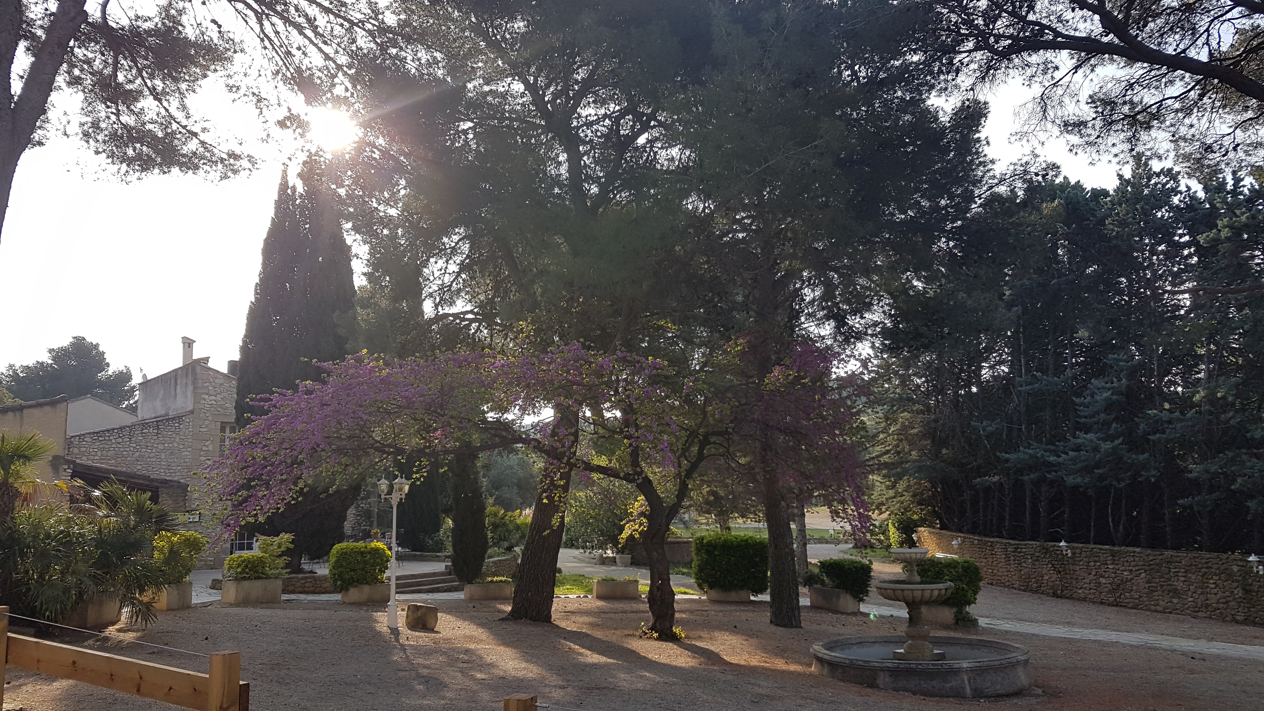 Photo n° 19 de l'avis de sandy.a fait le 22/04/2019 à 08:33