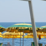 Photo n°4 de l'avis de MaMarò. fait le 02/08/2018 à 21:27 sur le  Ristorante Papeete Ladispoli à Ladispoli