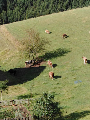 Photos des visiteurs hôtels Pension Kreutzhof 79274 Sankt Märgen