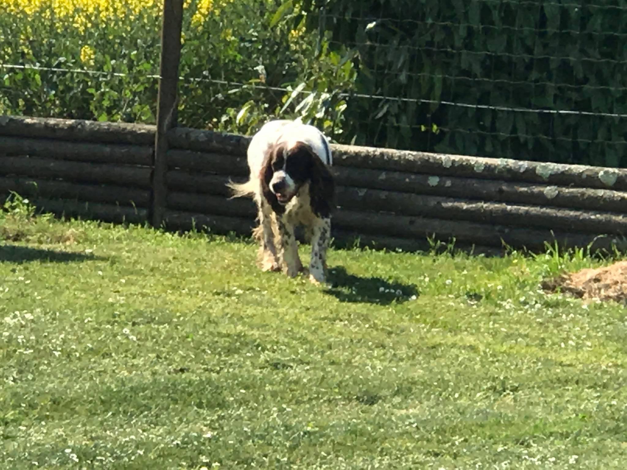 Photo n° 2 de l'avis de Nieve.o fait le 23/04/2020 à 14:44