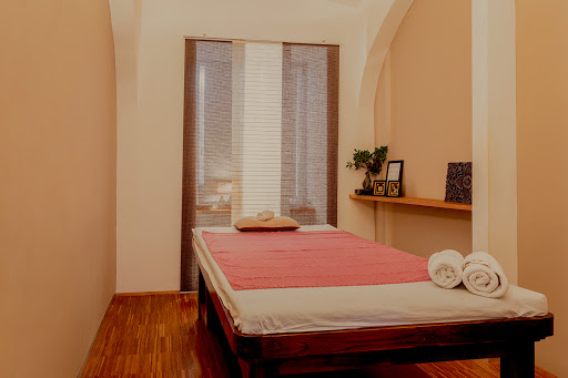 Massage clinics Vienna