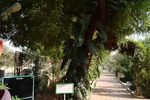 Vidhya Nagar Garden image