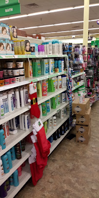 Dollar Tree - Photo 9 - Car repair in Lansing, MI, Lansing