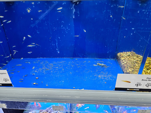 Pet Supply Store «Pet Supermarket, Inc.», reviews and photos, 598 N McCarran Blvd, Sparks, NV 89431, USA