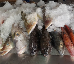 El Camarón Borracho photo