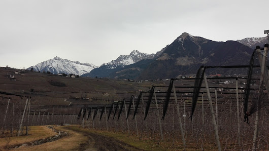 Fotograf Lercher Siegfried Plantastraße, 28, 39012 Meran, Autonome Provinz Bozen - Südtirol, Italien