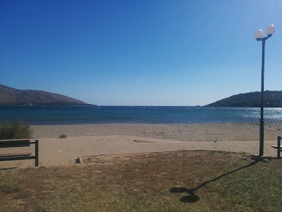 Photos of &Alpha;&phi;&omicron;ί &Pi;&alpha;&lambda;ά&sigma;&eta; &Omicron;&Epsilon;