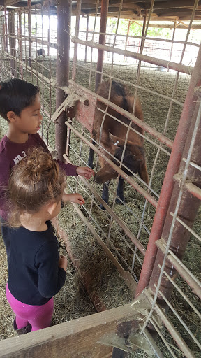 Meat Wholesaler «Lizze Custom Processing», reviews and photos, 7310 Pine Ave, Chino, CA 91708, USA