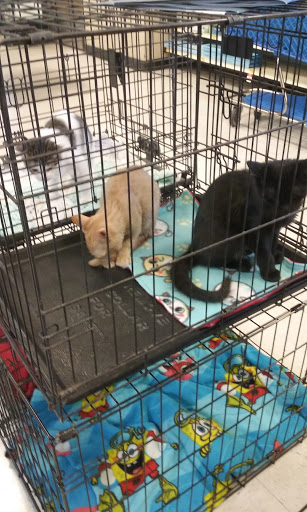 Pet Supply Store «PetSmart», reviews and photos, 3081 S 5600 W, Salt Lake City, UT 84120, USA