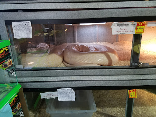 Pet Store «Incredible Pets Inc», reviews and photos, 2255 N Wickham Rd # 102, Melbourne, FL 32935, USA