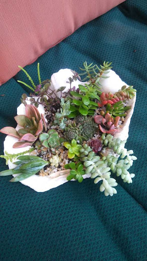 Department Store «HomeGoods», reviews and photos, 1520 Froom Ranch Way, San Luis Obispo, CA 93405, USA