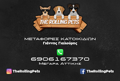 TheRollingPets (Pet taxi)