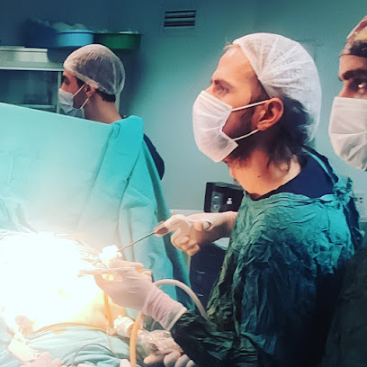 Op. Dr. Muhsin Elçi - Genel Cerrahi Uzmanı