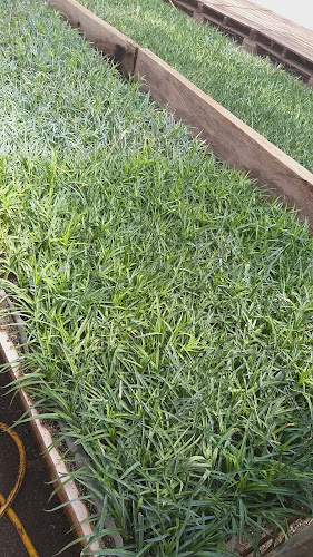 Agroquimicos Disagro - Saquisilí