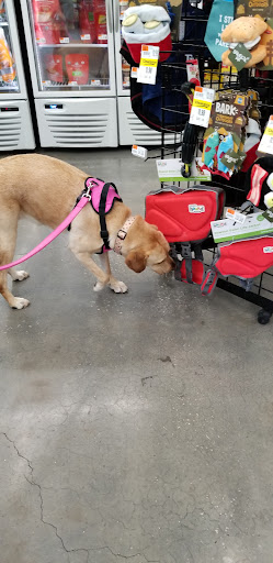 Pet Supply Store «Pet Supplies Plus», reviews and photos, 21703 Village Lakes Shopping Center Dr, Land O Lakes, FL 34639, USA