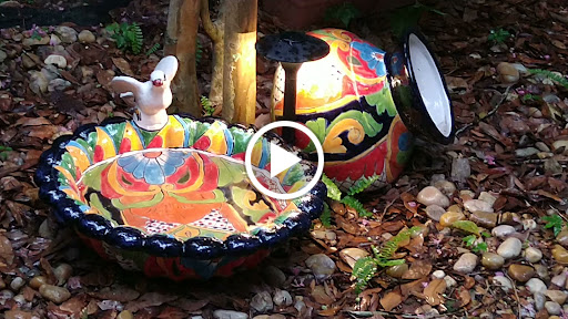 Department Store «T.J. Maxx», reviews and photos, 1115 Vidina Pl S-185, Oviedo, FL 32765, USA