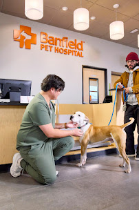Banfield Pet Hospital - Photo 5 - Car repair in Encinitas, CA, Carlsbad