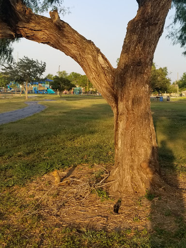 Park «Pendleton Park», reviews and photos, 1427 Morgan Blvd, Harlingen, TX 78550, USA