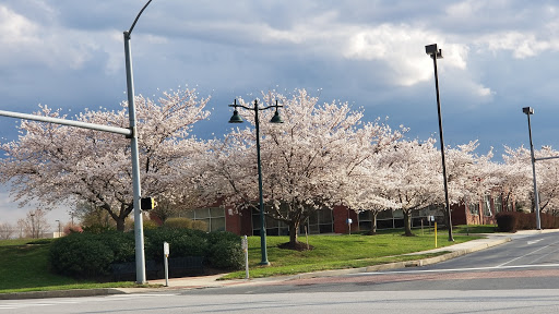 Shopping Mall «Lionville Shopping Center», reviews and photos, 168 Eagleview Blvd, Exton, PA 19341, USA