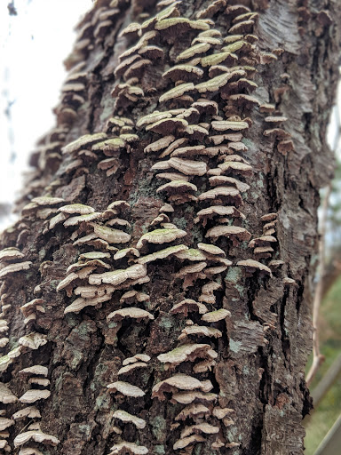 Nature Preserve «James Farm Ecological Preserve», reviews and photos, 30048 Cedar Neck Rd, Ocean View, DE 19970, USA