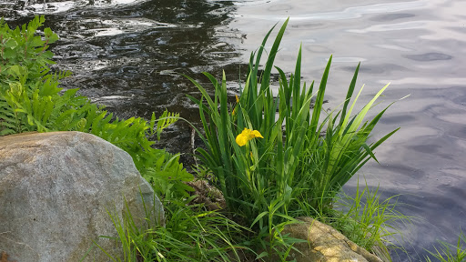 Park «Parks Lake», reviews and photos, Academy St, Rockaway, NJ 07866, USA