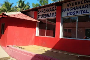 Shreenaga Ayurdhama- Ayurveda Panchakarma Hospital by Dr.Nagaraj Bhat image