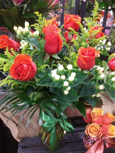 Shopping Mall «Old Town Shopping Center», reviews and photos, 5500 Greenville Ave, Dallas, TX 75206, USA